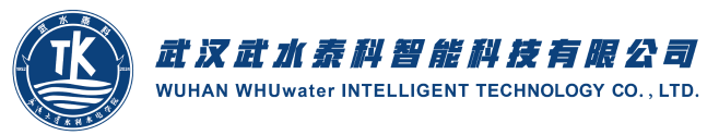 武汉武水泰科智能科技有限公司
